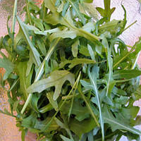 Насіння салат Рукола "Сільветта лісова" 0,3 г.