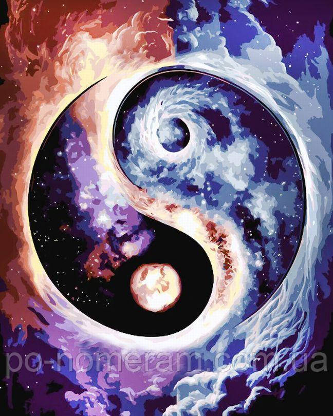 Набір алмазної мозаїки My Art Інь-Янь із голограмними стразами (MRT-TNG1621) 40 х 50 см (На підрамнику), фото 1