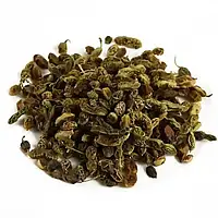 Софора японська плоды 1000 г