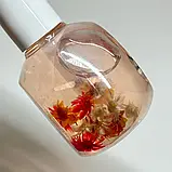 BCL Mandarin Oil + Nourishing Peptides, 29 мл - сквалан для нігтів Мандарин + Живильні Пептиди, фото 3