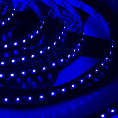 Світлодіодна стрічка LED Galaxy strip 3528 600 SMD блакитна