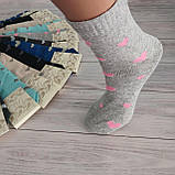 Шкарпетки жіночі ALBA різнокольорові  в серденька 37-39р | 12 пар, фото 2