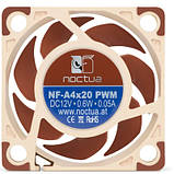 Популярний! Кулер до корпусу Noctua NF-A4x20 PWM - Краща якість тільки на Nukleon.com.ua, фото 4