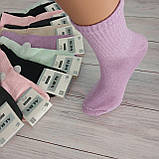 Шкарпетки дитячі підліткові ALBA 21-23 (32-35р по взуттю) /12 пар, фото 2