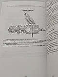 Магічні здібності: Вогонь, Повітря, Вода, Земля. Визнач свою стихію. Теммі Салліван (книга російською)), фото 8