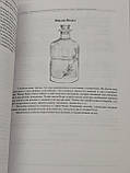 Магічні здібності: Вогонь, Повітря, Вода, Земля. Визнач свою стихію. Теммі Салліван (книга російською)), фото 9