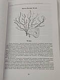 Магічні здібності: Вогонь, Повітря, Вода, Земля. Визнач свою стихію. Теммі Салліван (книга російською)), фото 10