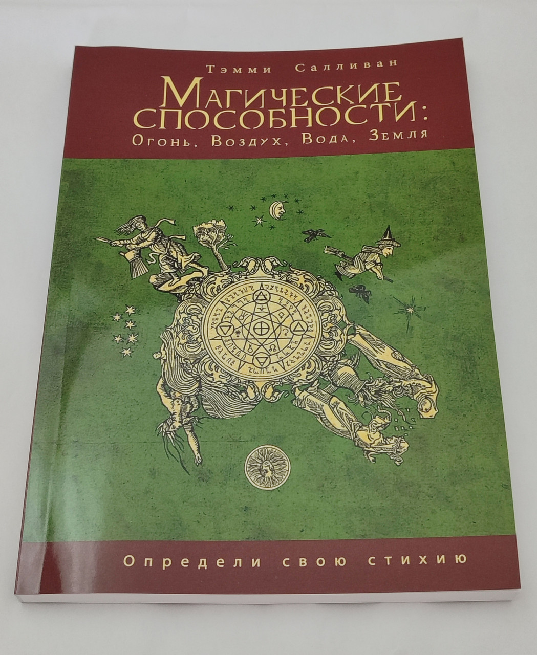Магічні здібності: Вогонь, Повітря, Вода, Земля. Визнач свою стихію. Теммі Салліван (книга російською))