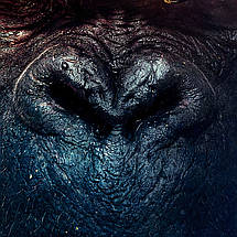 Плакат "Кінг-Конг: Острів Черепа, Kong: Skull Island (2017)", 60×40см, фото 2