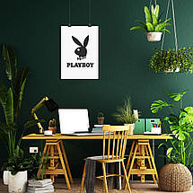 Плакат "Плейбой, логотип, Playboy", 60×43см, фото 5