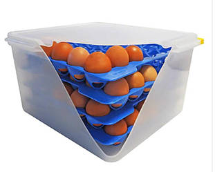 Контейнер для зберігання Araven яєць з кришкою 4 шт. лотків 2/3 35,4х32,5 см h20 см поліпропілен (70378 Ar)