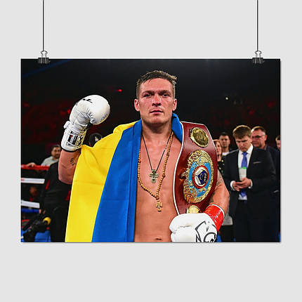 Плакат "Усик Олександр в білих рукавицях, боксер", 43×60см, фото 1