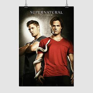 Плакат "Надприродне, Вінчестери та змій на руці, Supernatural", 60×41см