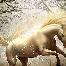 Плакат "Єдиноріг", 43×60см, фото 2