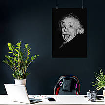 Плакат "Альберт Ейнштейн, Albert Einstein", 60×43см, фото 3
