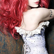 Плакат "Емілі Отем, Emilie Autumn", 60×43см, фото 3