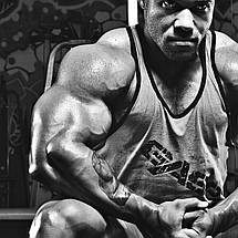 Плакат "Бодибілдер", 43×60см, фото 2