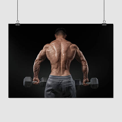 Плакат "Бодібілдер з гантелями зі спини", 43×60см, фото 1
