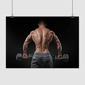 Плакат "Бодібілдер з гантелями зі спини", 43×60см