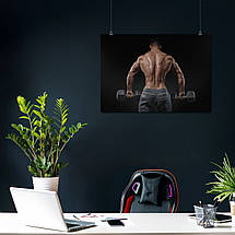 Плакат "Бодібілдер з гантелями зі спини", 43×60см, фото 3