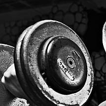 Плакат "Бодібілдер з гантелей", 43×60см, фото 2