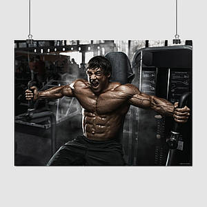 Плакат "Бодибілдер", 43×60см