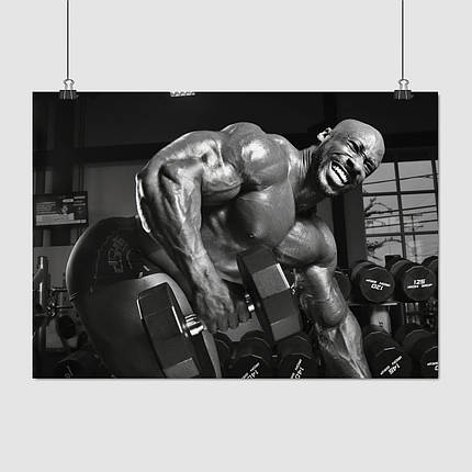 Плакат "Бодібілдер з гантелей, потяг до пояса", 43×60см, фото 1