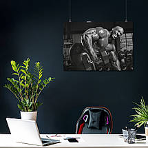 Плакат "Бодібілдер з гантелей, потяг до пояса", 43×60см, фото 3