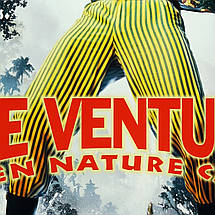 Плакат "Ейс Вентура 2, Ace Ventura 2 (1995)", 60×43см, фото 3