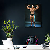 Плакат "Арнольд Шварценеггер, Містер Олімпія, Arnold Schwarzenegger", 60×43см, фото 3