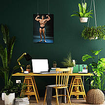 Плакат "Арнольд Шварценеггер, Містер Олімпія, Arnold Schwarzenegger", 60×43см, фото 5