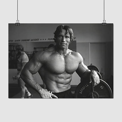 Плакат "Арнольд Шварценеггер, Містер Олімпія, спортзал, Arnold Schwarzenegger", 43×60см, фото 1