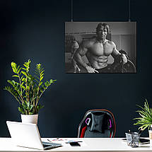 Плакат "Арнольд Шварценеггер, Містер Олімпія, спортзал, Arnold Schwarzenegger", 43×60см, фото 4