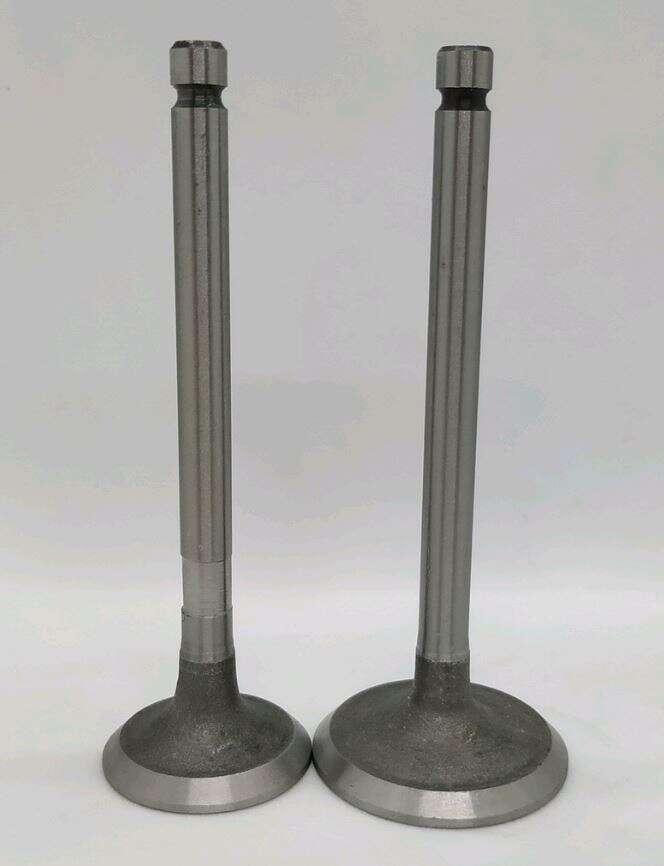 Клапани (пара, голі) м/б 186F (9Hp) TD