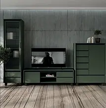 Модульна система Лаундж зелений димчатий/чорний ВМК Україна