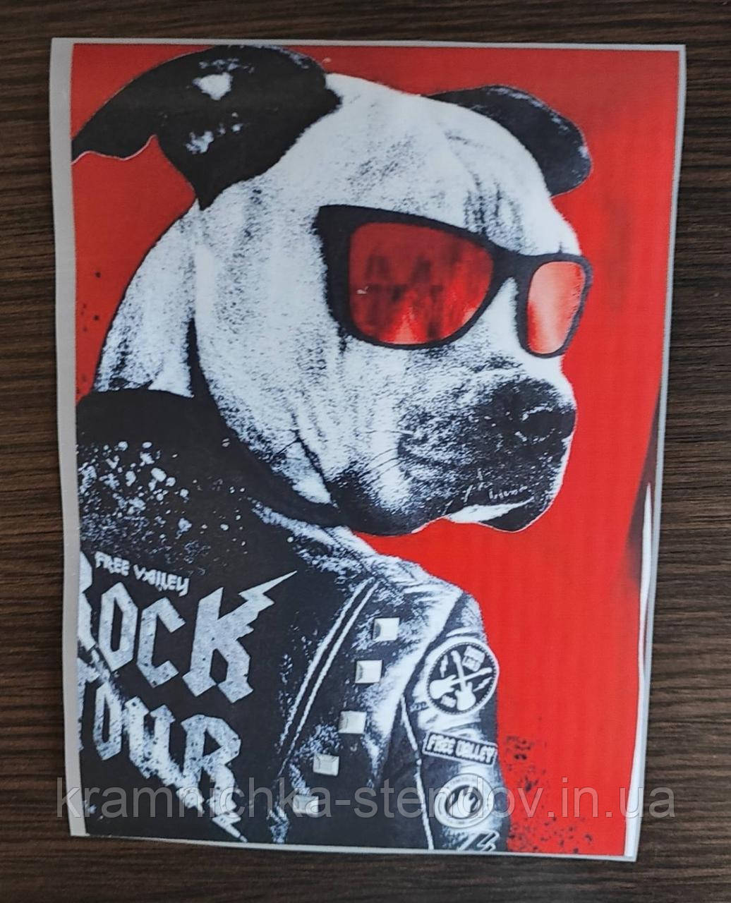 Термоналіпка на одяг, фото 1