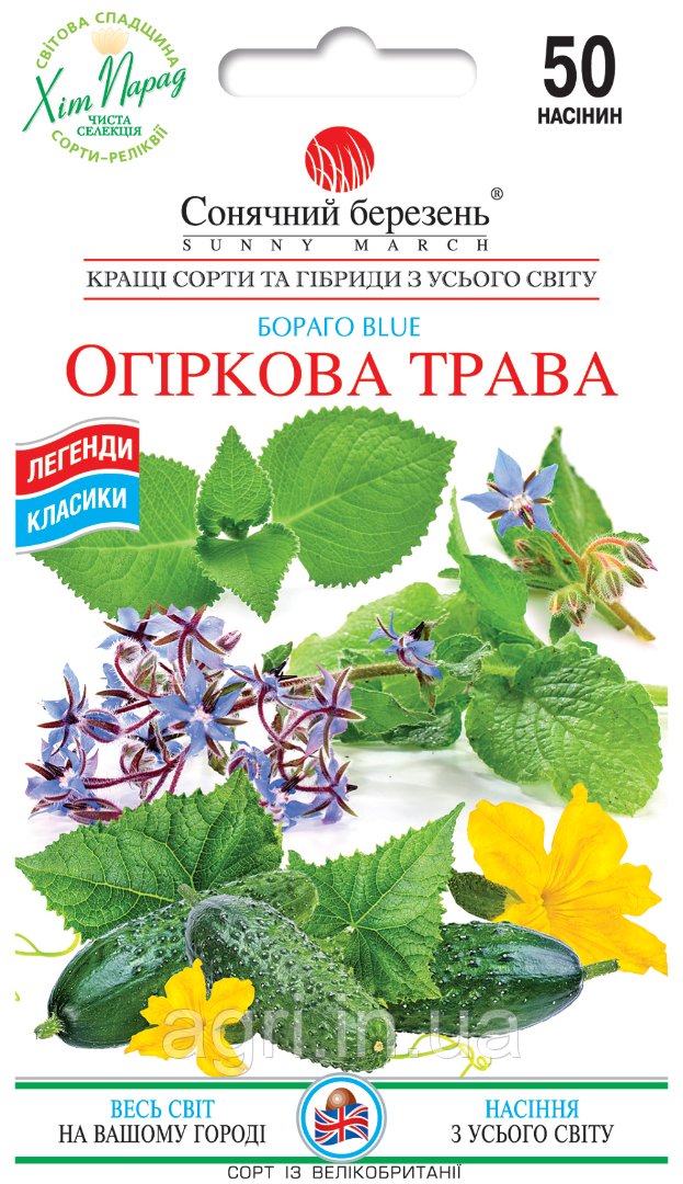 Огіркова трава, 50шт. Ароматичні трави