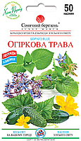 Огіркова трава, 50шт. Ароматичні трави