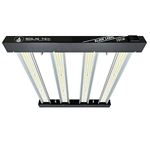 Фітолампи для рослин Black Label