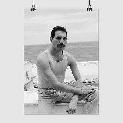 Плакат "Фредді Мерк'юрі, Freddy Mercury, Queen", 60×43см, фото 1