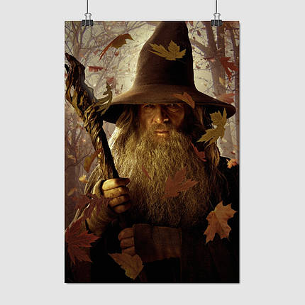 Плакат "Володар перснів, Гендальф із палицею, Lord Of The Rings", 60×40см, фото 1