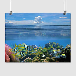 Плакат "Підводний світ, риби, кораловий риф", 43×60см