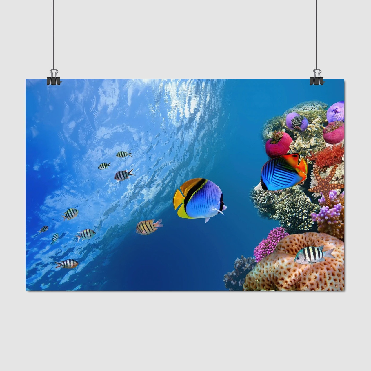 Плакат "Підводний світ, риби, кораловий риф", 40×60см