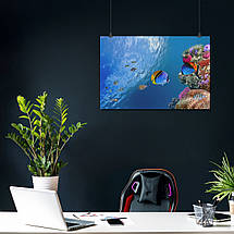 Плакат "Підводний світ, риби, кораловий риф", 40×60см, фото 3