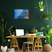 Плакат "Підводний світ, риби, кораловий риф", 40×60см, фото 5