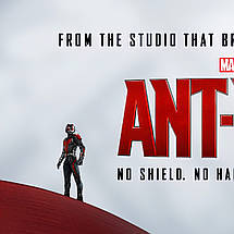 Плакат "Людина-мураха на щиті Капітана Америка, Ant-Man (2015)", 60×41см, фото 3