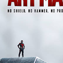 Плакат "Людина-мураха на молоті Тора, Ant-Man (2015)", 60×41см, фото 3