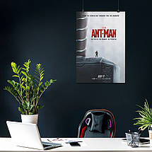 Плакат "Людина-мураха на молоті Тора, Ant-Man (2015)", 60×41см, фото 4