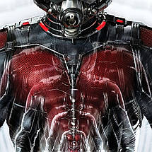 Плакат "Людина-мураха, трансформація, Ant-Man (2015)", 60×43см, фото 3