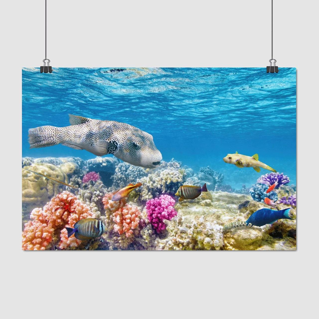 Плакат "Підводний світ, риби, кораловий риф", 40×60см